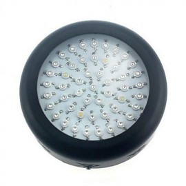 40W LED Pflanzenlampe 50 Hochleistungs LED 3000 3200 lm AC85 265 V 1 Stk