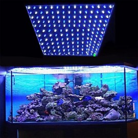 10W 225LED 112Blau+113Weiß LED Aquariumbeleuchtung EU (220V)