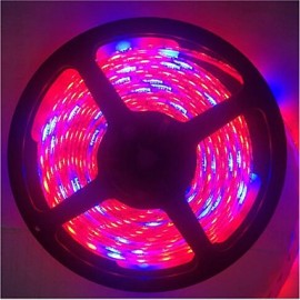 5M 5Rot1Blau 300LED SMD5050 IP65 Hydrokultursysteme LED Pflanzenwachstumslicht Wasserdichte LED (DC12V)